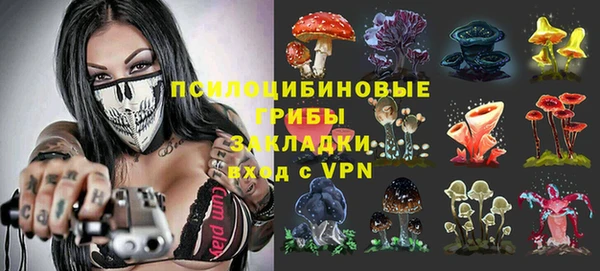 эйфоретик Арсеньев