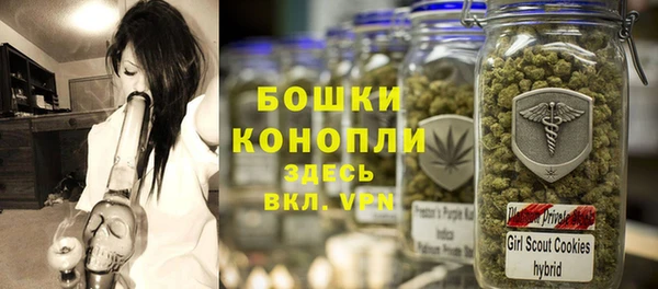 стафф Аркадак