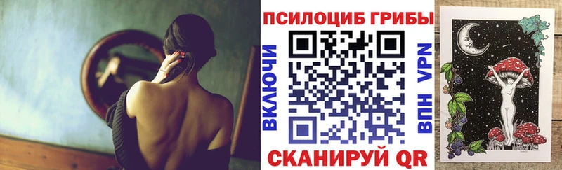 даркнет сайт  mega вход  Псилоцибиновые грибы Cubensis  Жиздра 