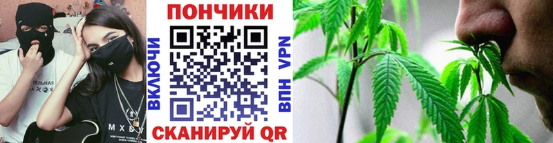 наркотики  Жиздра  Шишки марихуана гибрид 